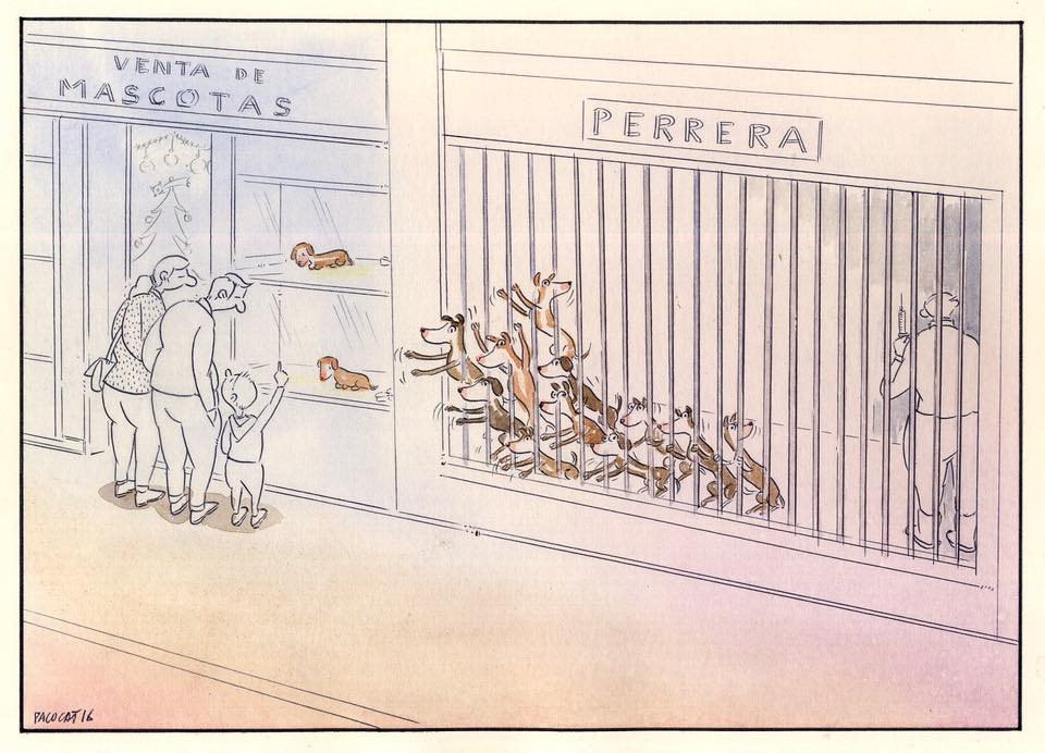 15697721_555328721342487_7432475174939727866_n