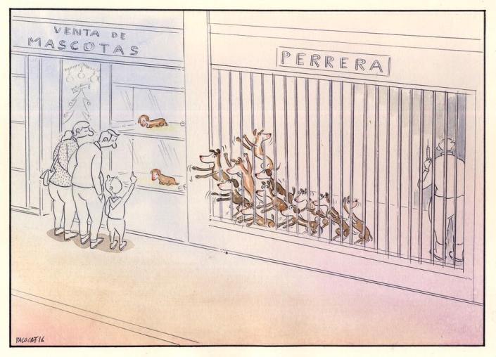 15697721_555328721342487_7432475174939727866_n