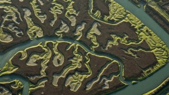 1505821915725marismas800