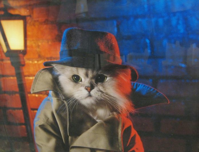 gato_detective-696x531