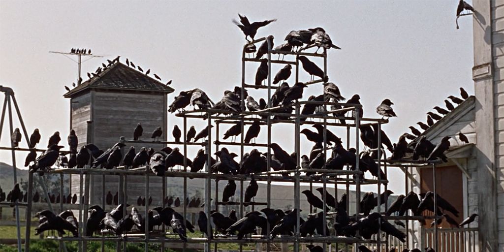 La-BBC-adaptara-Los-pajaros-de-Hitchcock