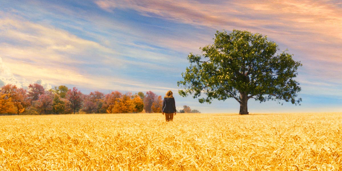 19245403.jpg-r_1280_720-f_jpg-q_x-xxyxx