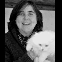 aurea-lamela-1543256015