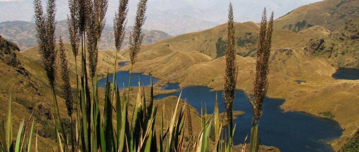 Lagunas las Huaringas