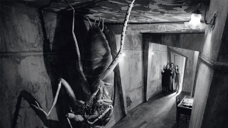 la-metamorfosis-kafka