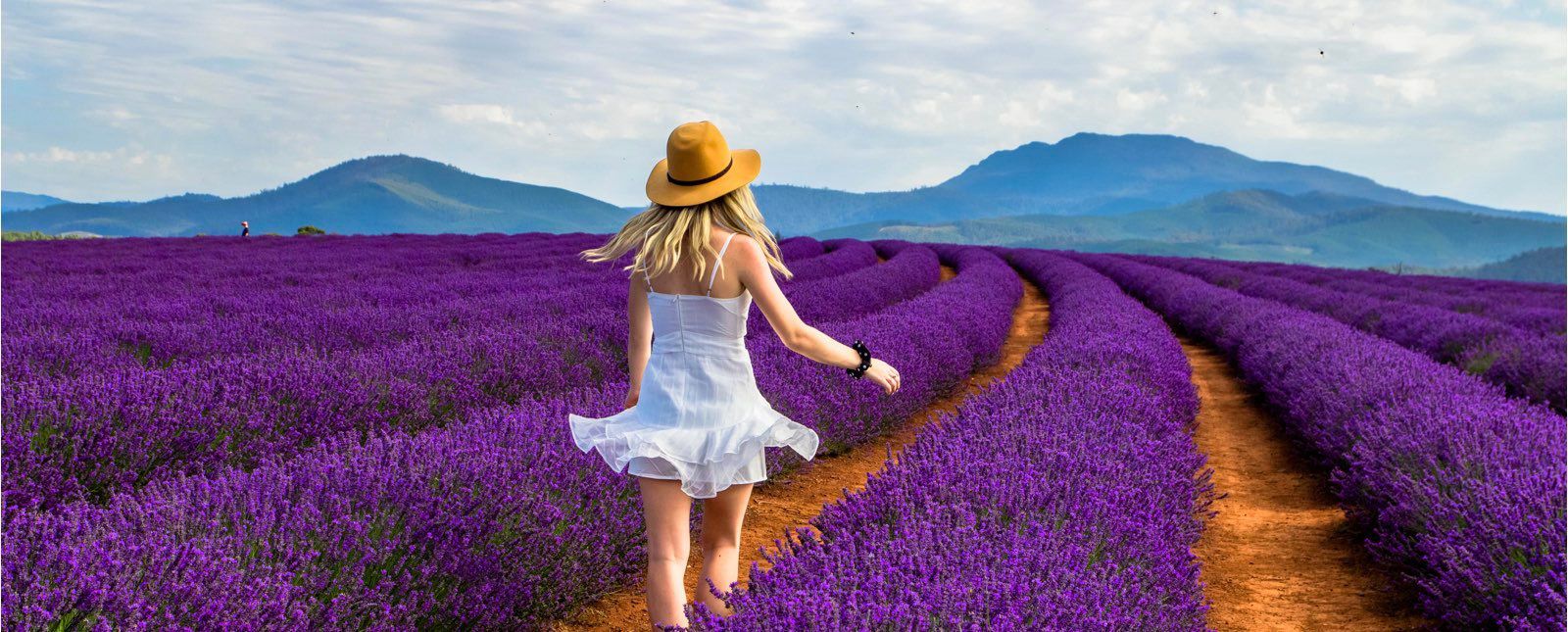 NYKYGMSCQFC2VFCK7SPECASQJM