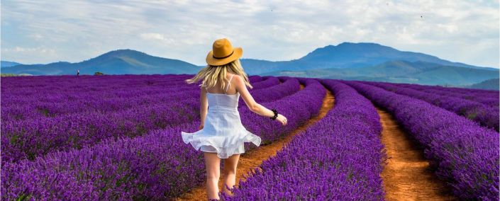 NYKYGMSCQFC2VFCK7SPECASQJM