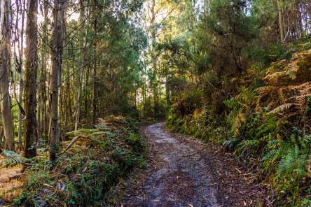 48763223673_5ae2eac9ce_b